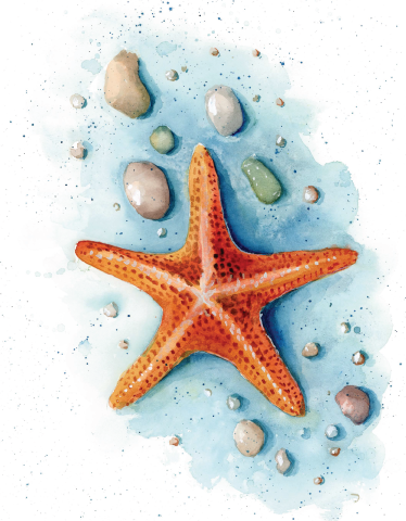 Starfish painting