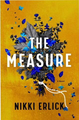 The Measure by Nikki Erlick