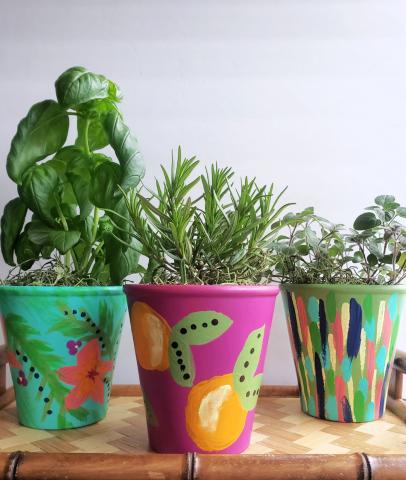 three painted terra cotta pots holding herbs